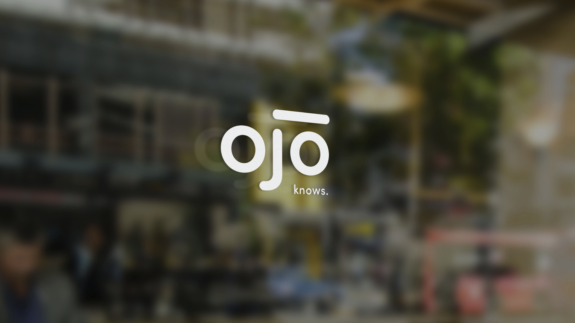 OJO 4