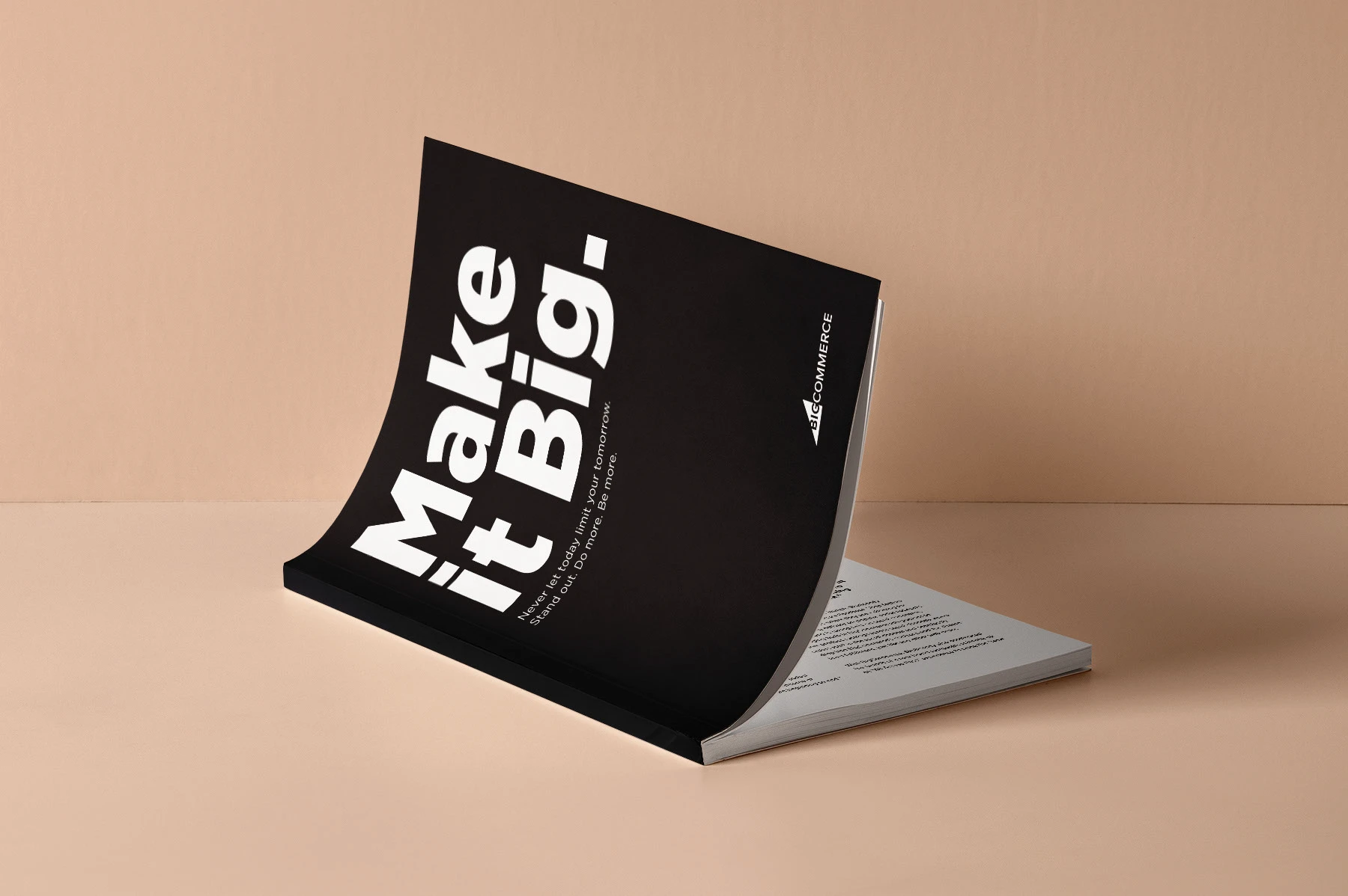 446380207985751.66e75ca955ead