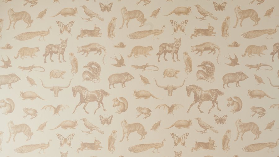 bigcommercewallpaperfullres_900xx5504-3096-0-0