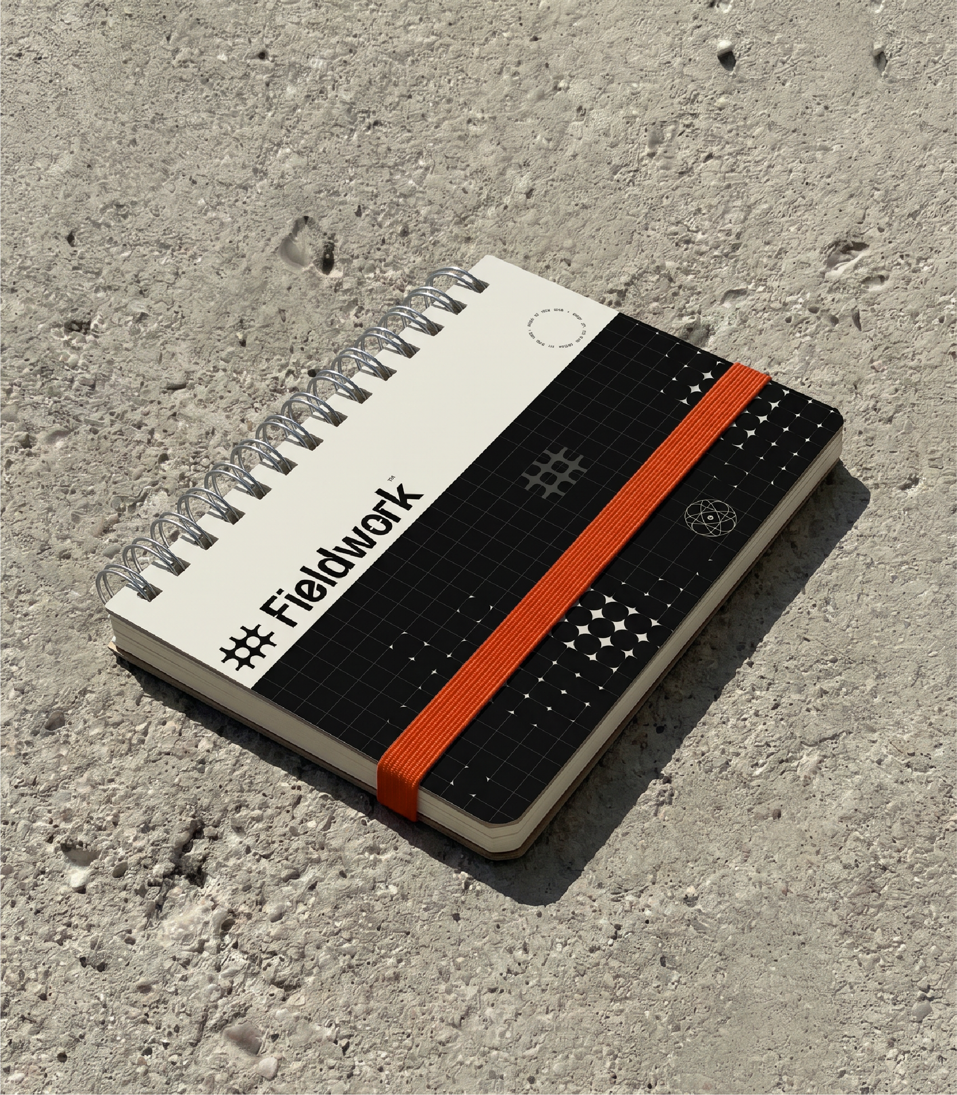 Fieldwork_study [Recovered]-21